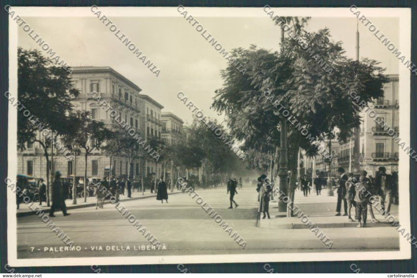 Palermo Città Viale Libertà Foto Cartolina ZT8234 - Palermo