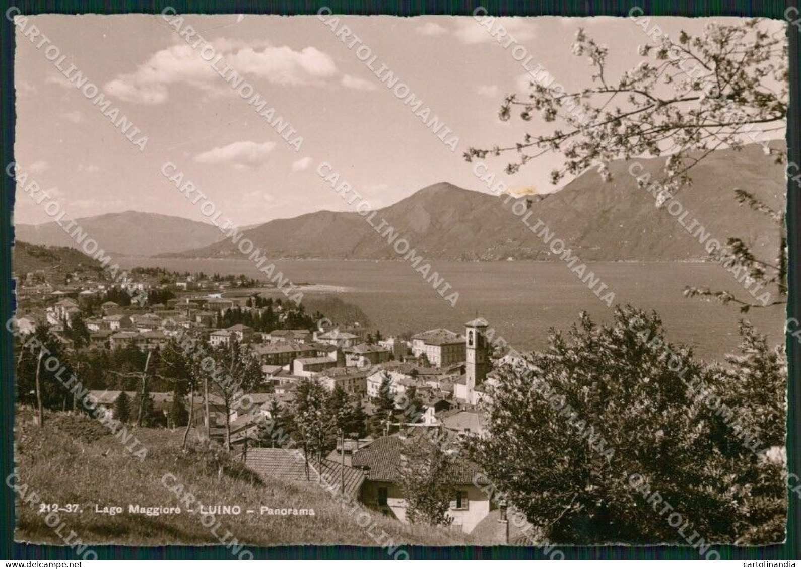 Varese Luino PIEGHINE Foto FG Cartolina ZK4836 - Varese