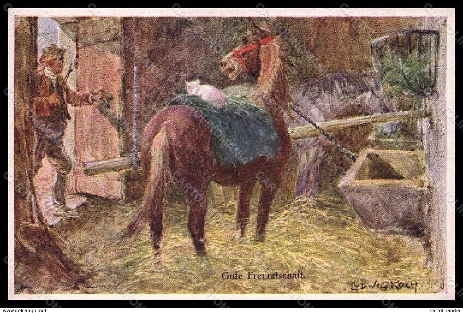 Artist Signed Ludwig Koch Horse Pferd Cat BKWI Serie 660-5 Postcard VK6757 - Autres & Non Classés