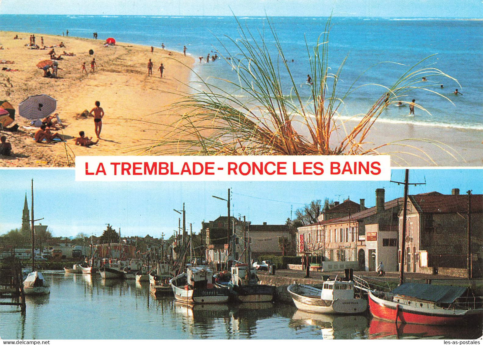 17 LA TREMBLADE - La Tremblade