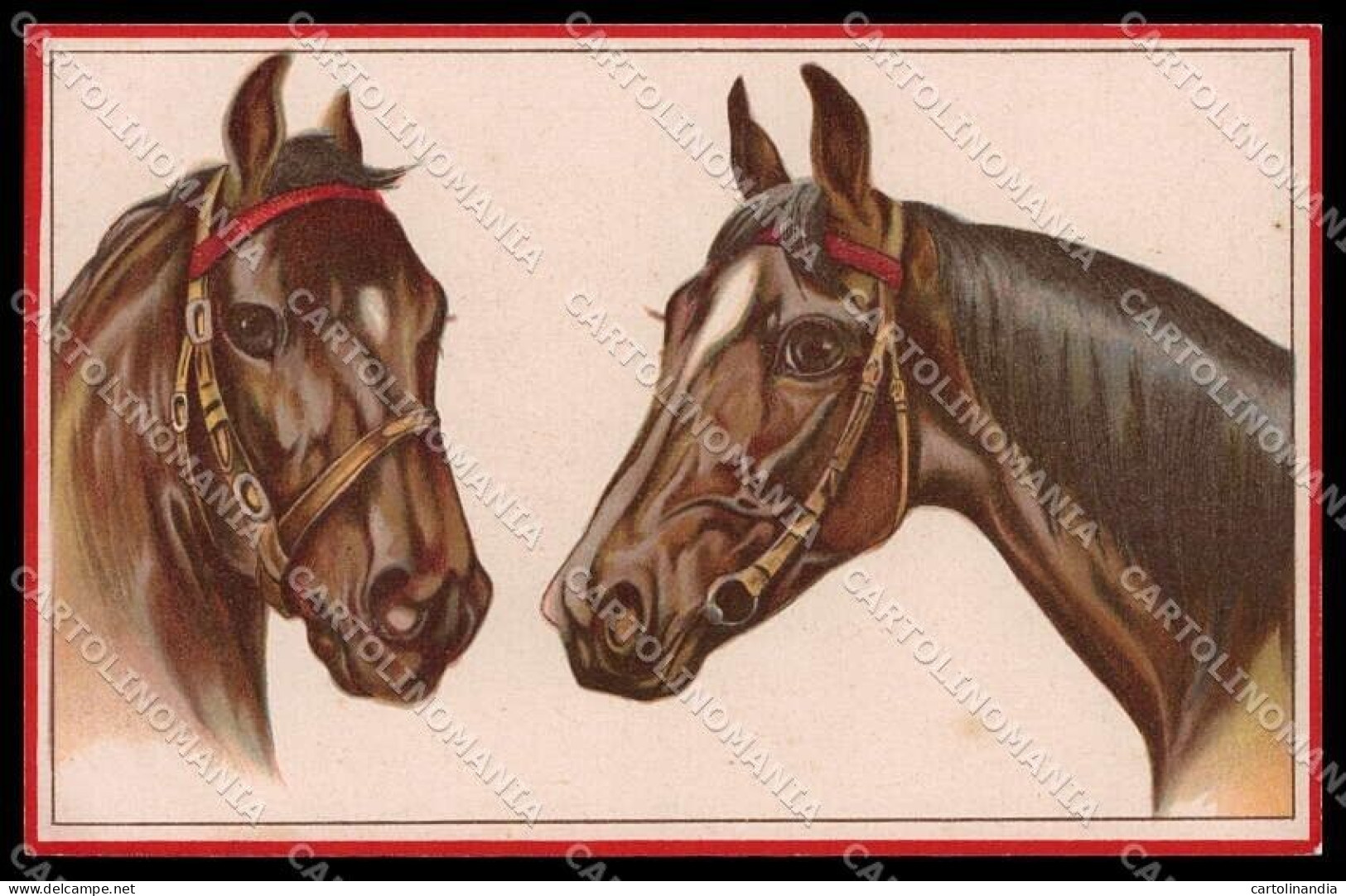 Illustratori Artist Signed Norfini Horse Pferd Cheval Serie 713-3 Pc ZG6034 - Andere & Zonder Classificatie