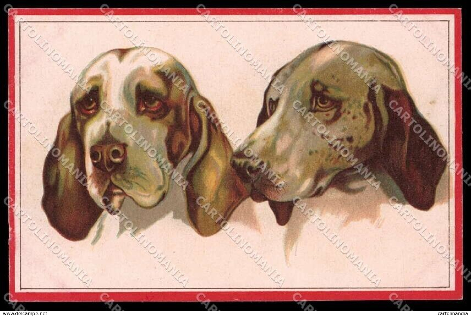 Illustratori Artist Signed Norfini Bracco Dog Serie 712-1 Pc ZG6039 - Andere & Zonder Classificatie