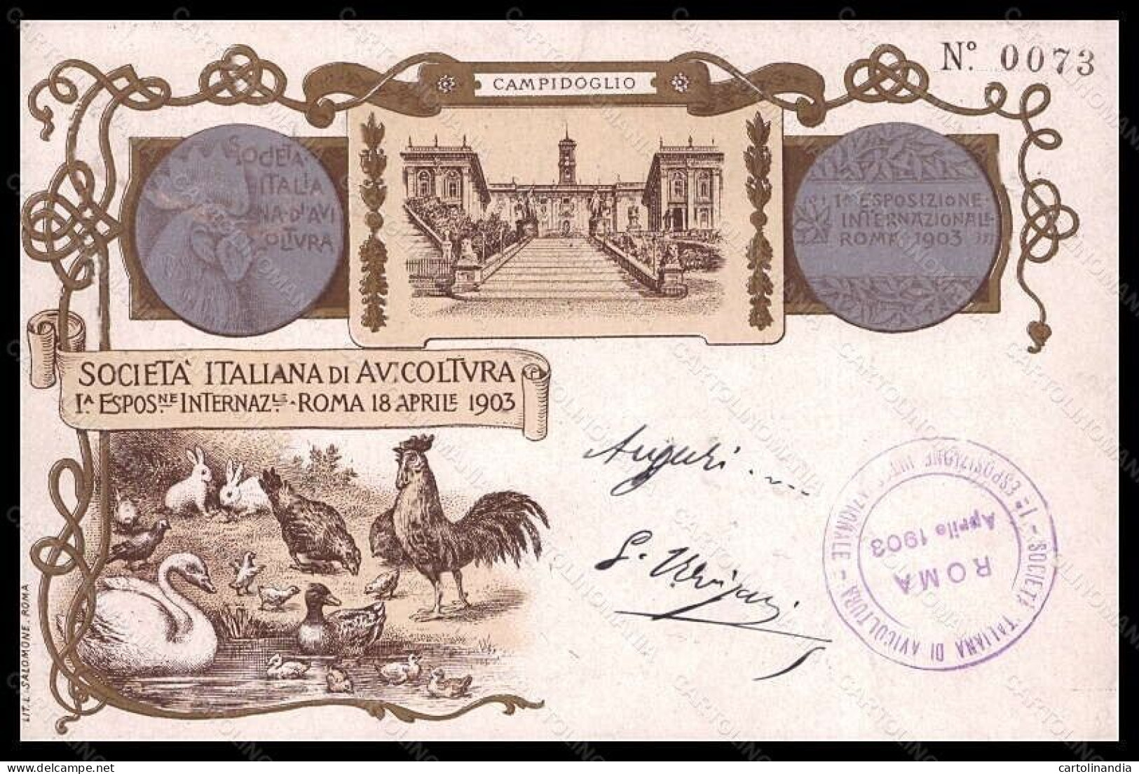 Roma Città I Expo Società Italiana Di Avicoltura Gallo Cigno Postcard VK6106 - Autres & Non Classés