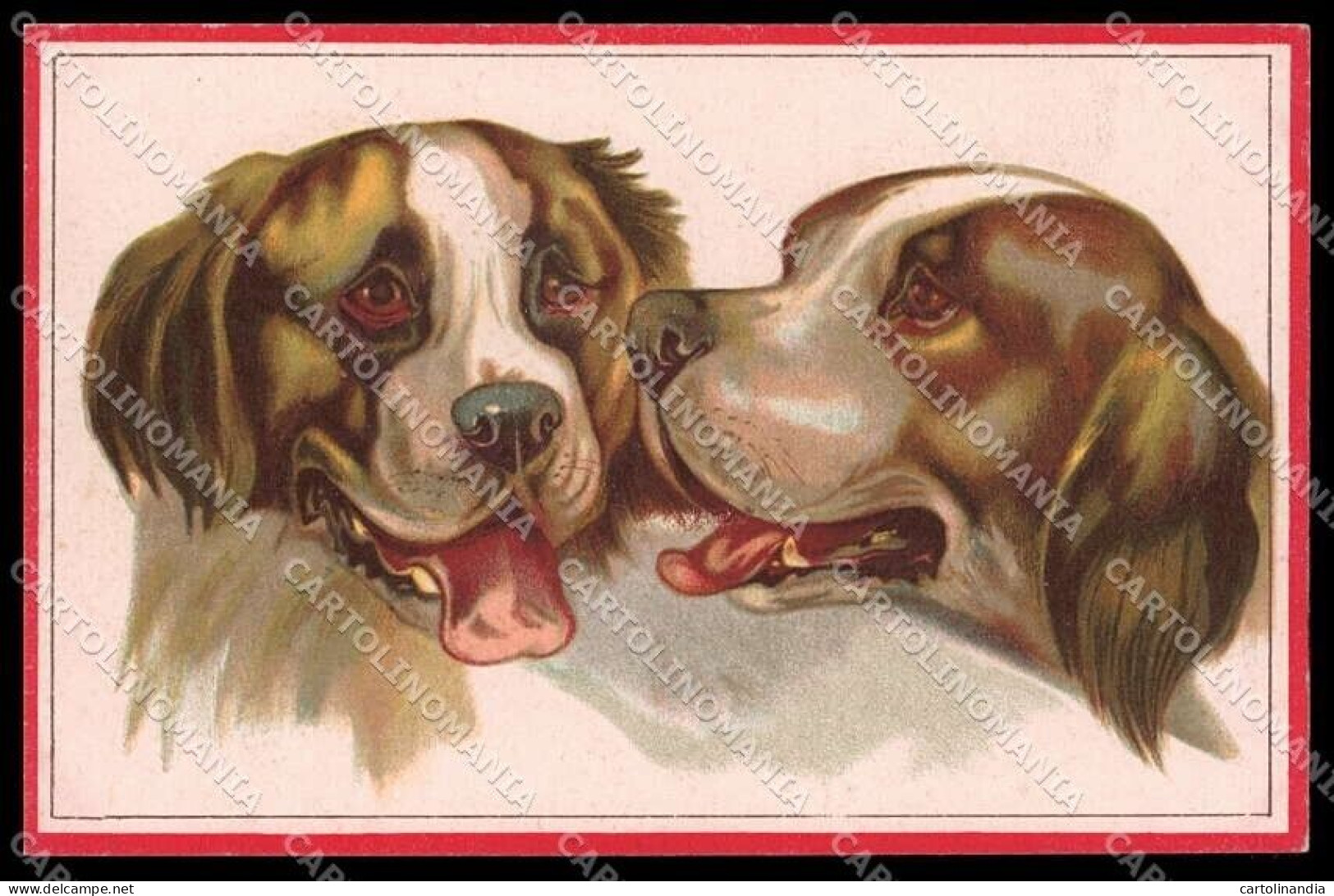 Illustratori Artist Signed Norfini Saint Bernard Dog Serie 712-4 Pc ZG6042 - Autres & Non Classés