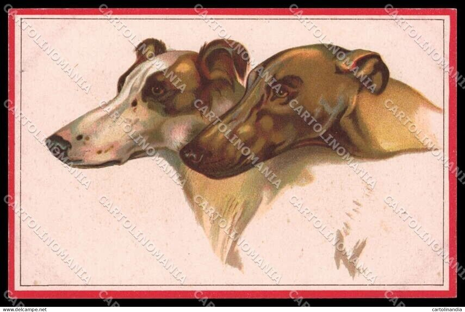 Illustratori Artist Signed Norfini Greyhound Dog Serie 712-5 Pc ZG6043 - Autres & Non Classés