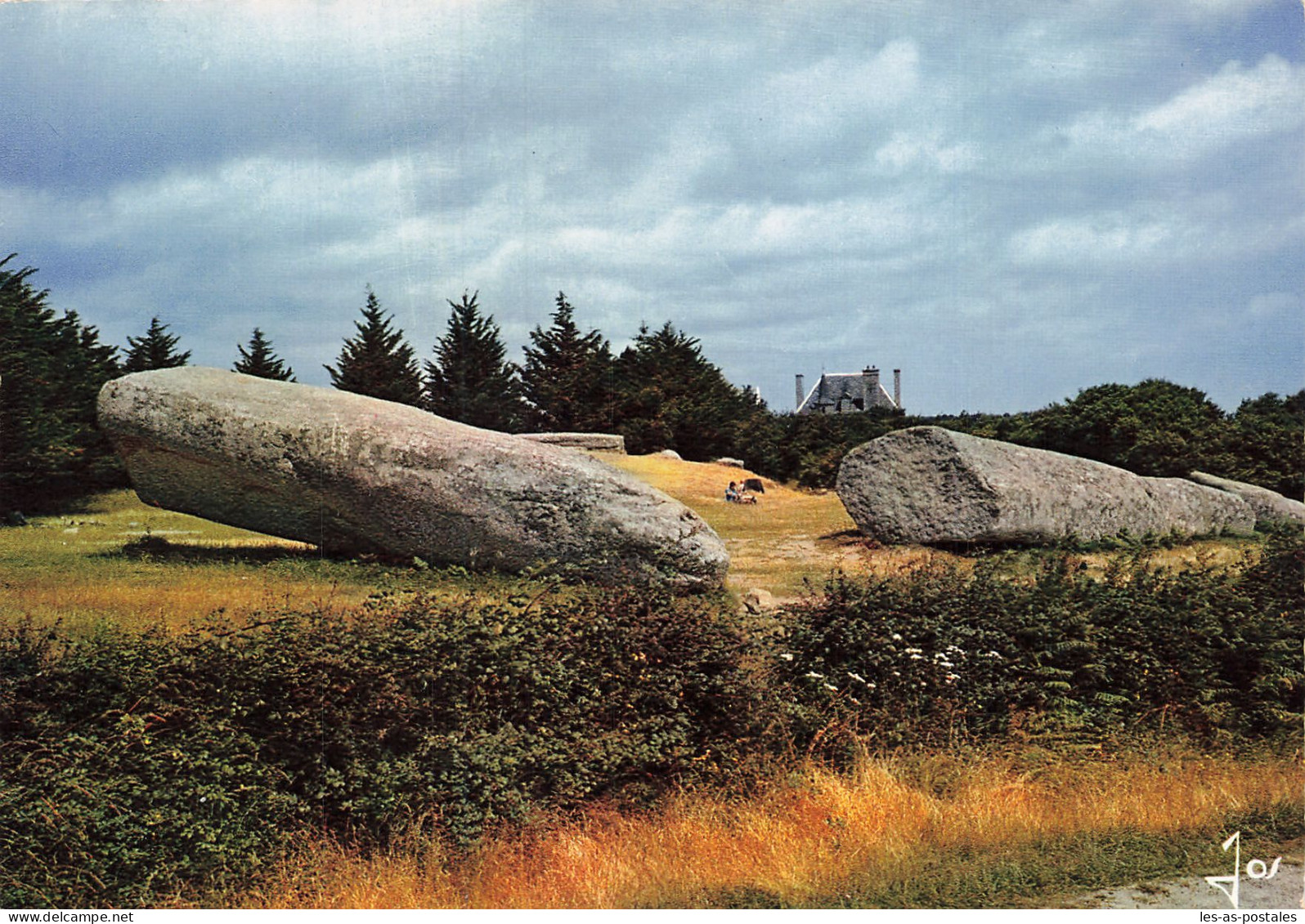 56  LOCMARIAQUER LE MENHIR BRISE - Locmariaquer