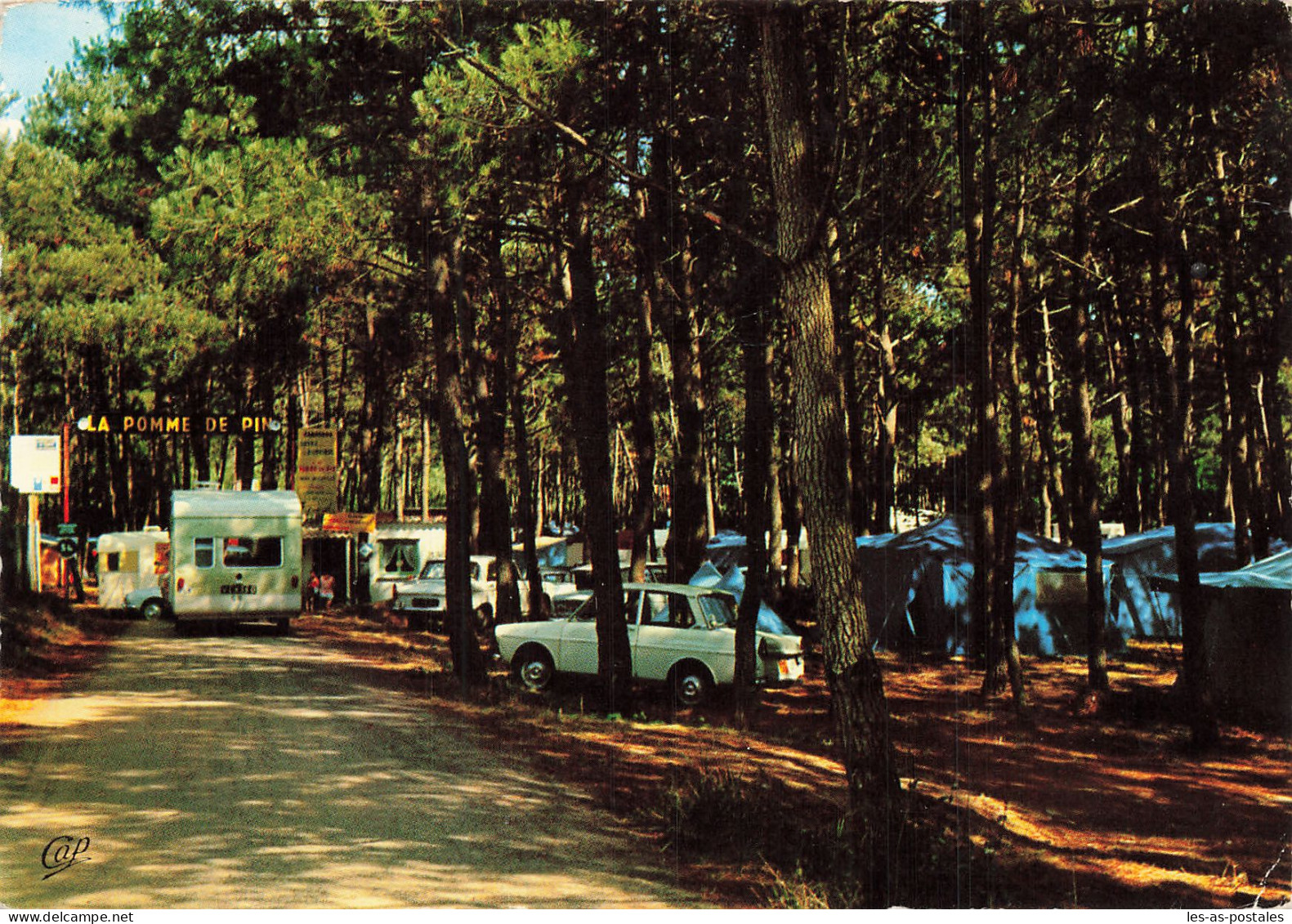 85 JARD SUR MER CAMPING POMME DE PIN - Otros & Sin Clasificación