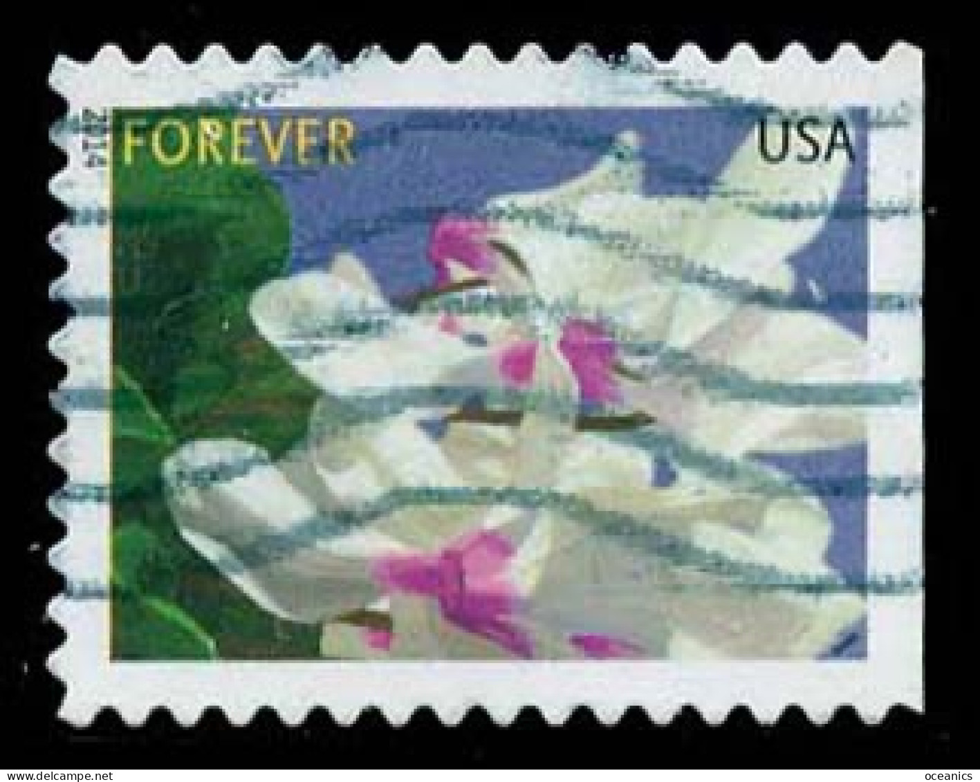 Etats-Unis / United States (Scott No.4863 - Fleur Hivernale /Winter Flower) (o) P3 - Used Stamps