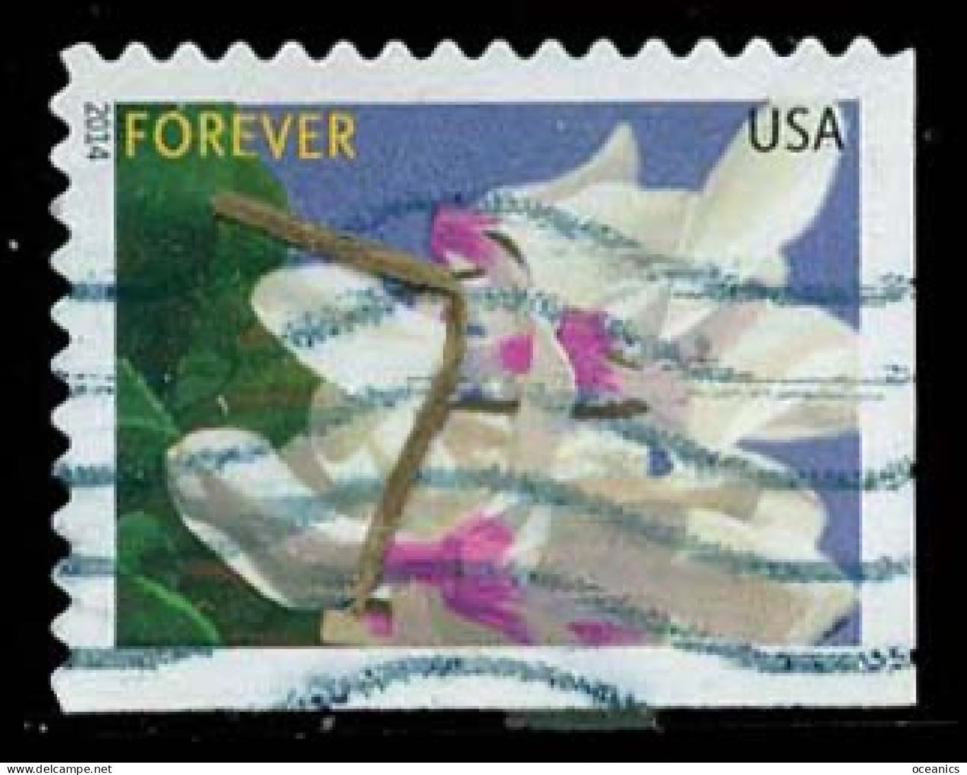 Etats-Unis / United States (Scott No.4863 - Fleur Hivernale /Winter Flower) (o) P2 - Used Stamps