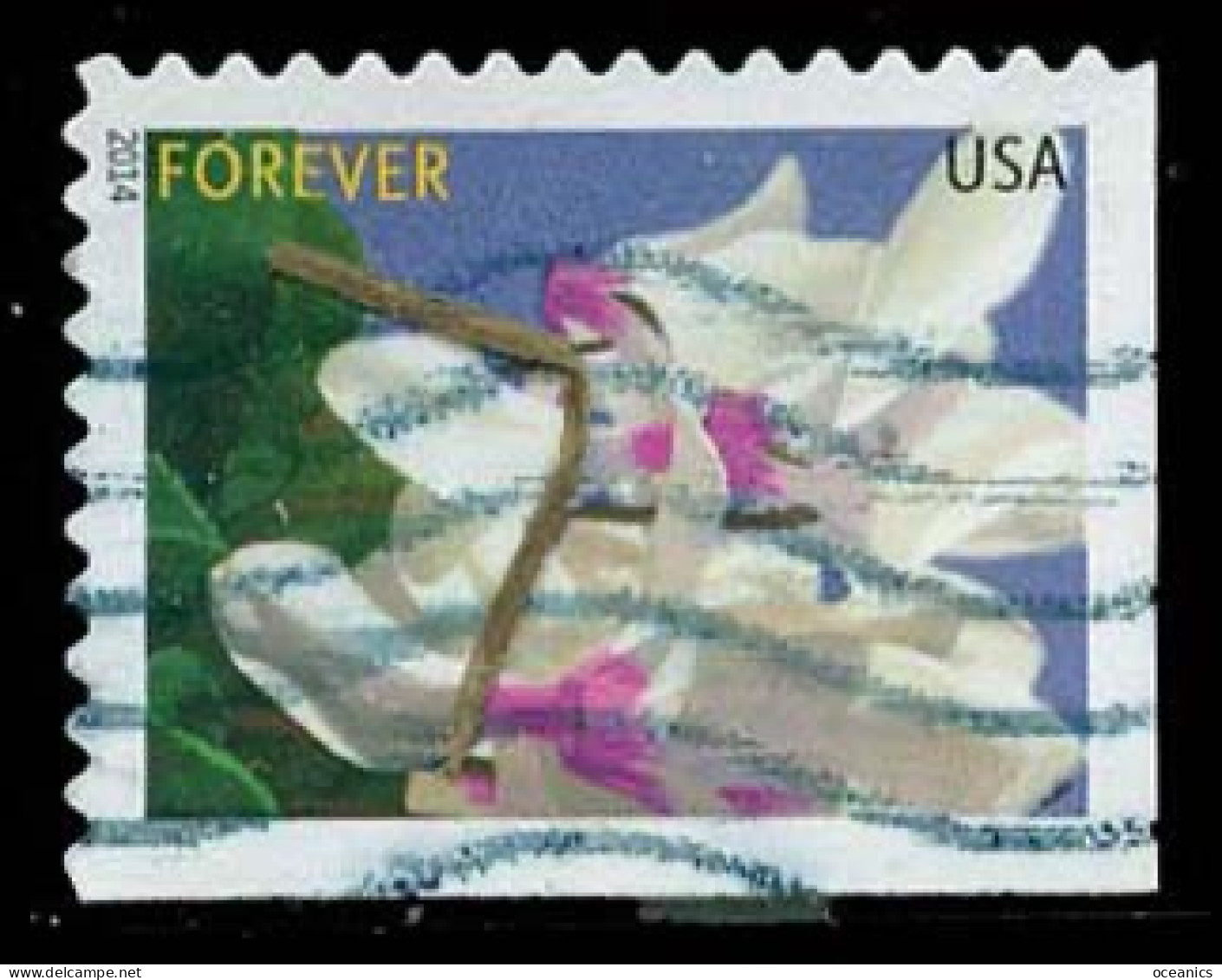 Etats-Unis / United States (Scott No.4863 - Fleur Hivernale /Winter Flower) (o) P2 - Gebraucht