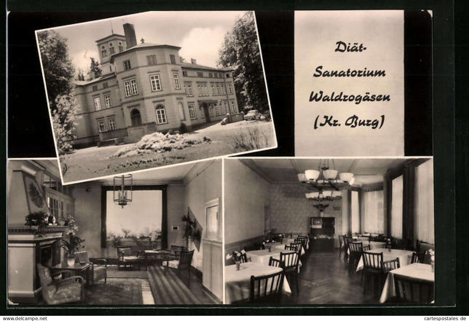 AK Waldrogäsen /Kr. Burg, Diätsanatorium - Gebäude, Innen  - Burg