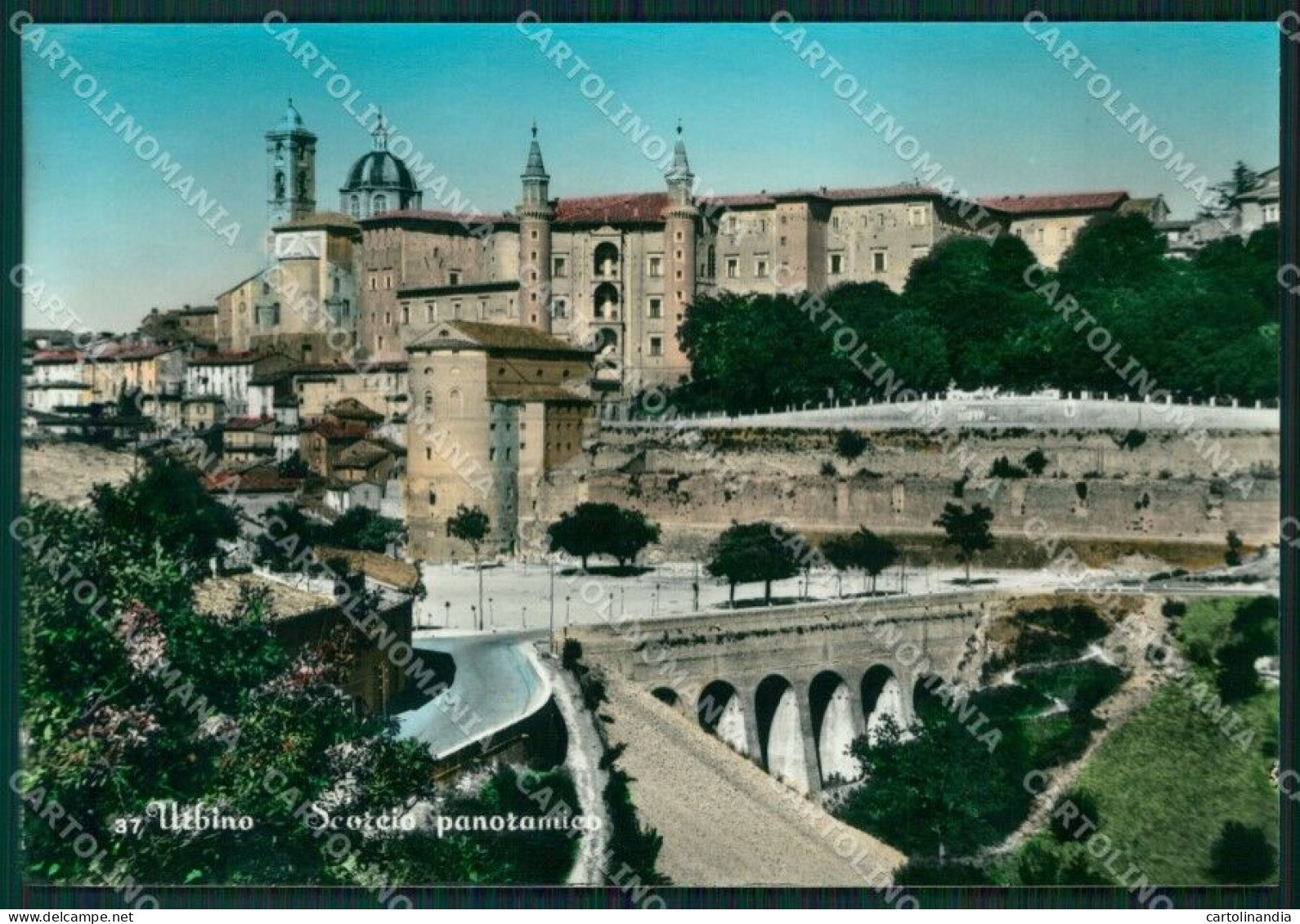 Pesaro Urbino Foto FG Cartolina ZKM8228 - Pesaro