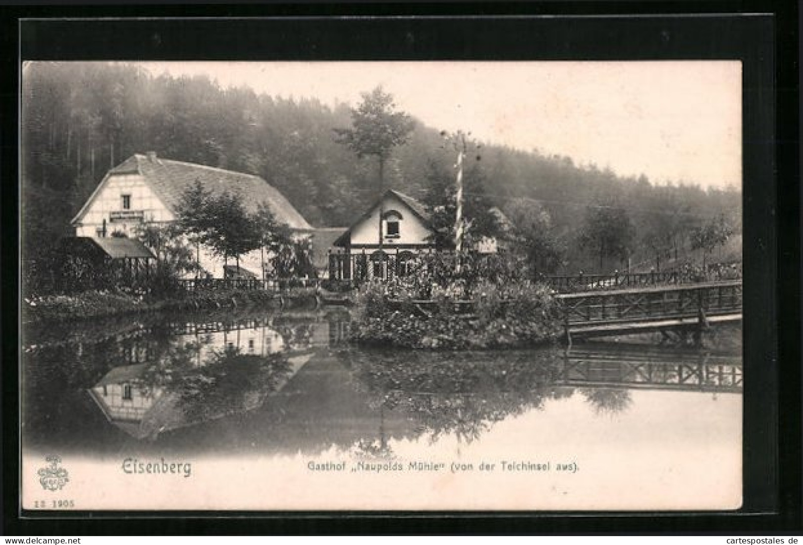 AK Eisenberg, Gasthof Naupolds Mühle Von Der Teichinsel Gesehen  - Eisenberg