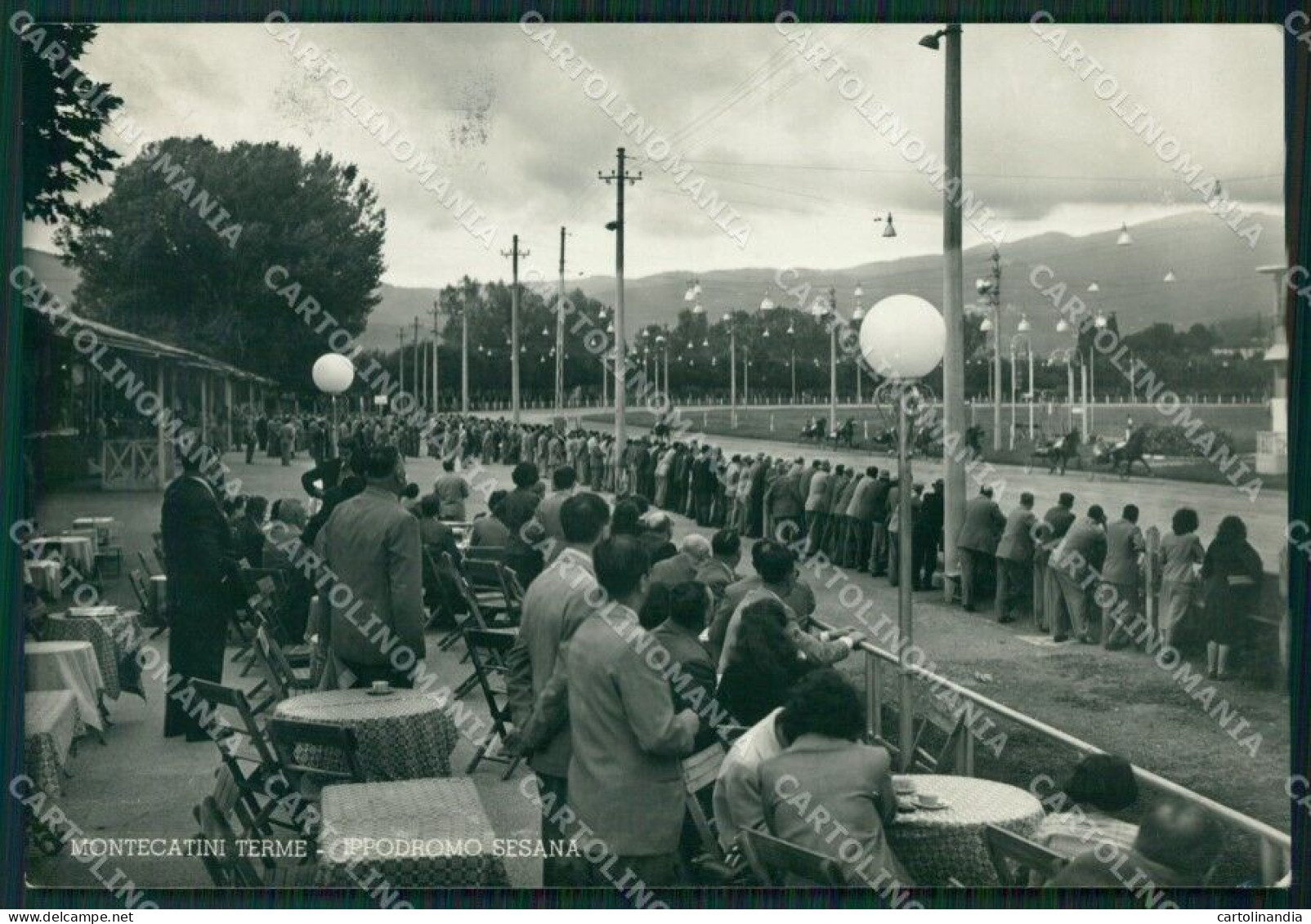 Pistoia Montecatini Terme Ippodromo Foto FG Cartolina ZK1343 - Pistoia