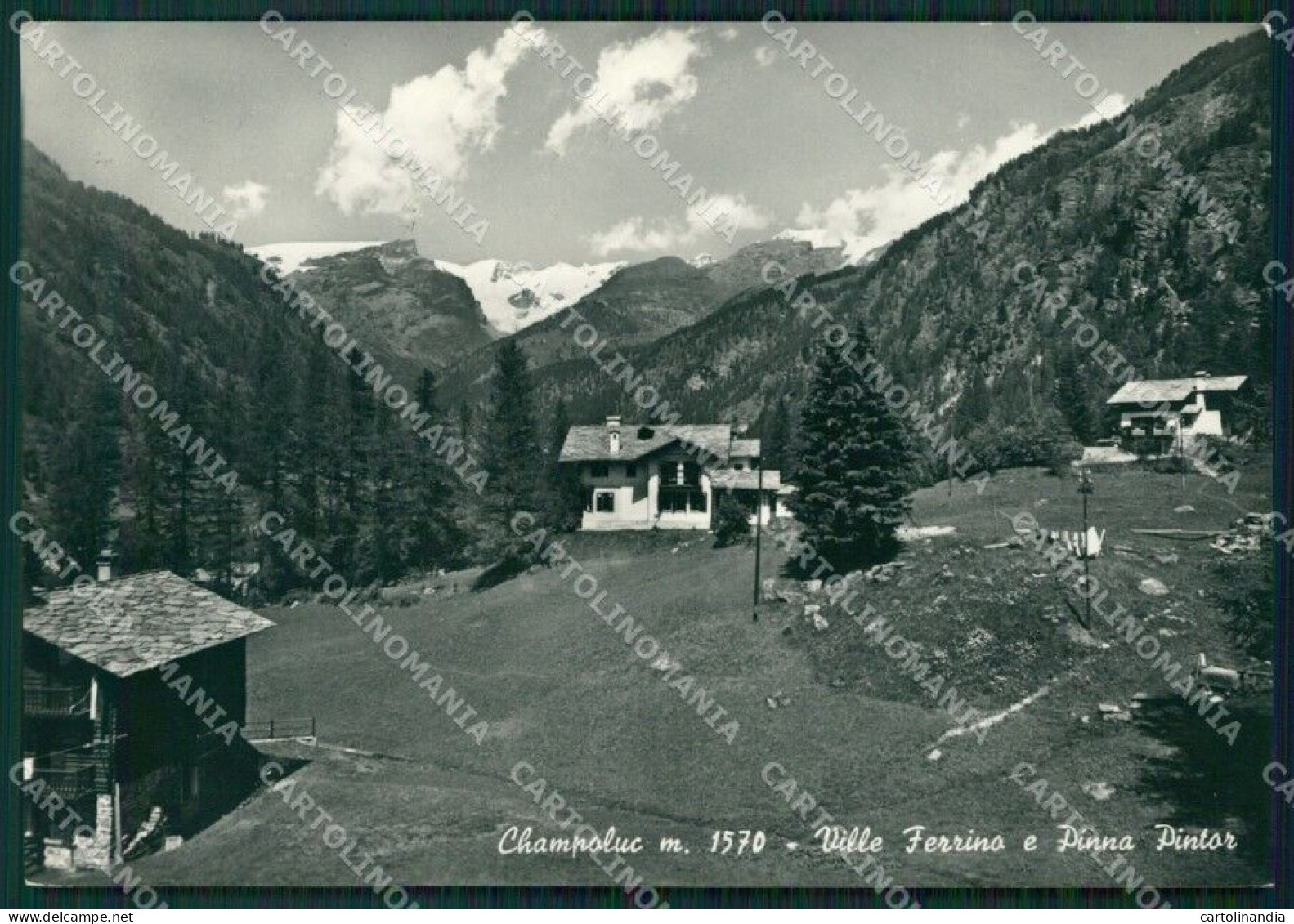 Aosta Champoluc Foto FG Cartolina ZK5307 - Aosta