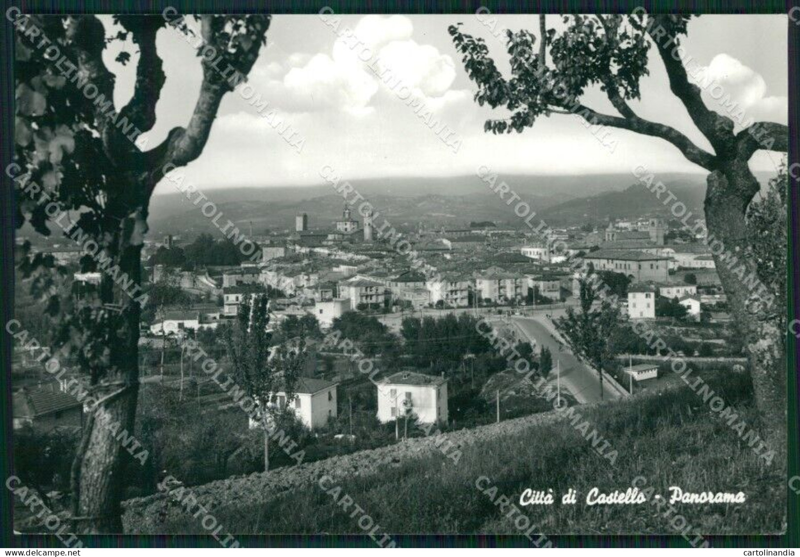 Perugia Citta Di Castello Foto FG Cartolina ZK6572 - Perugia