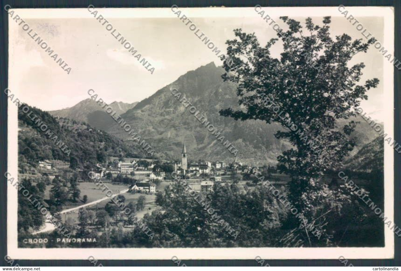 Verbania Crodo Foto Cartolina ZQ7165 - Verbania