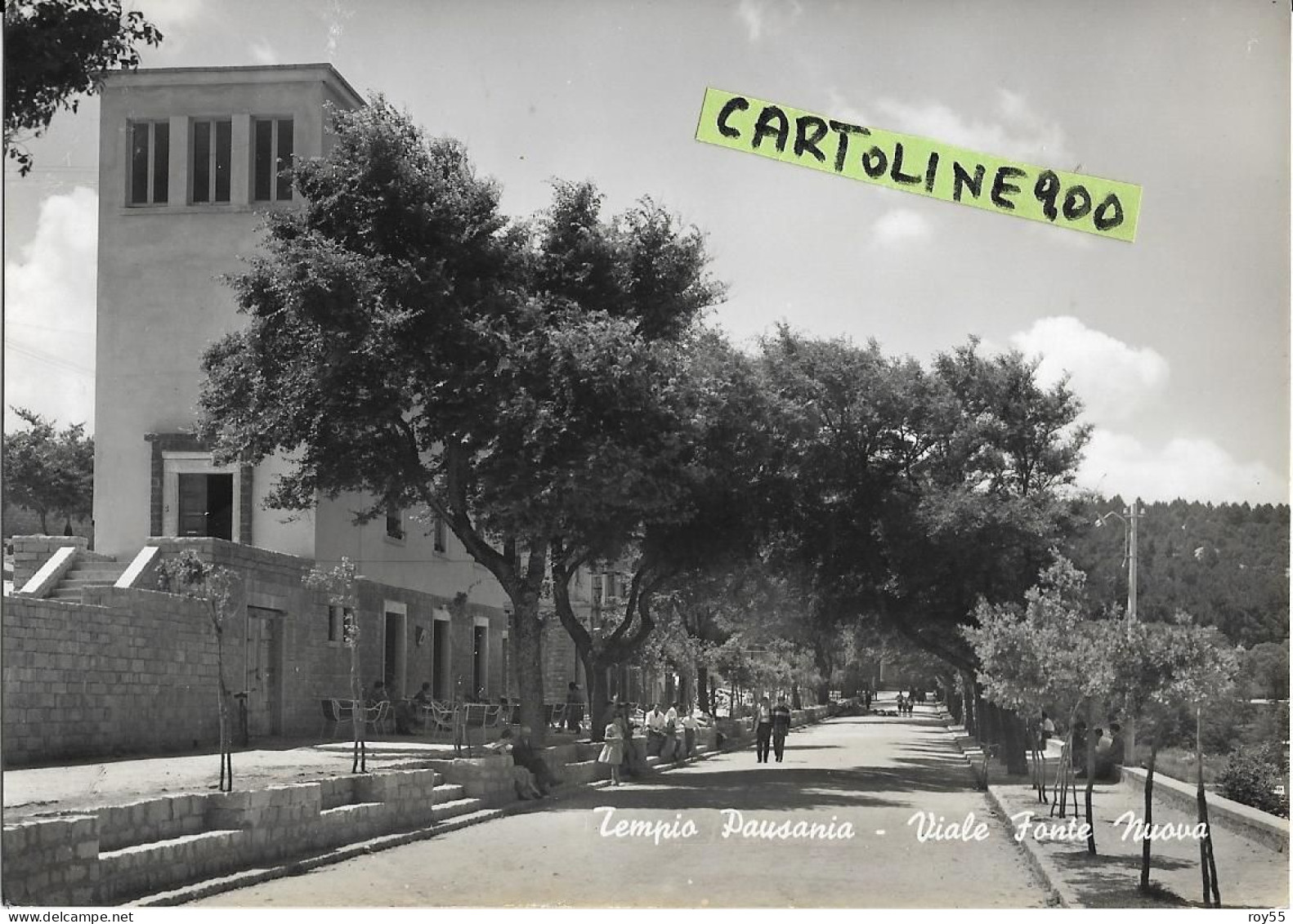 Sardegna-oristano Sassari-tempio Pausania Viale Fonte Nuova Veduta Panoramica Viale Anni 50 - Altri & Non Classificati