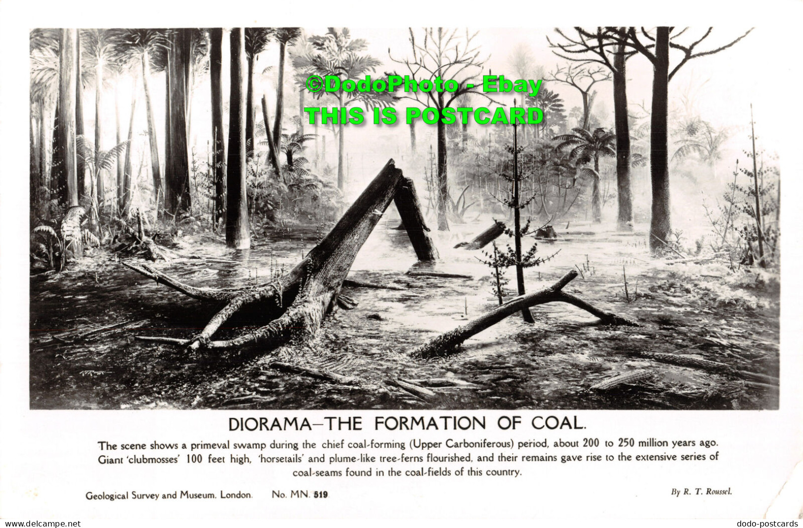 R433638 Diorama. The Formation Of Coal. Geological Survey And Museum. London. No - Autres & Non Classés