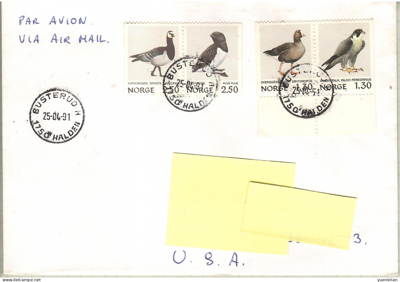 Norway 1991, Bird, Birds, Eagle, Circulated Cover - Águilas & Aves De Presa