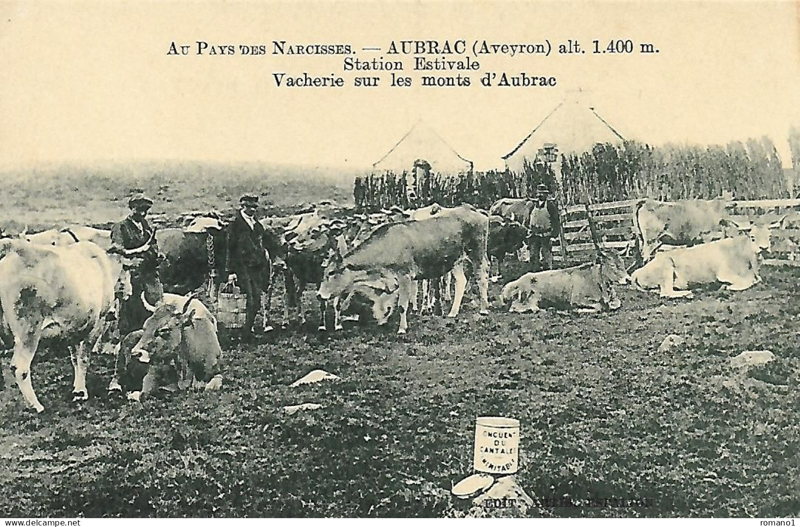 12)   AUBRAC  -  Vacherie Sur Les Monts D' Aubrac - Autres & Non Classés