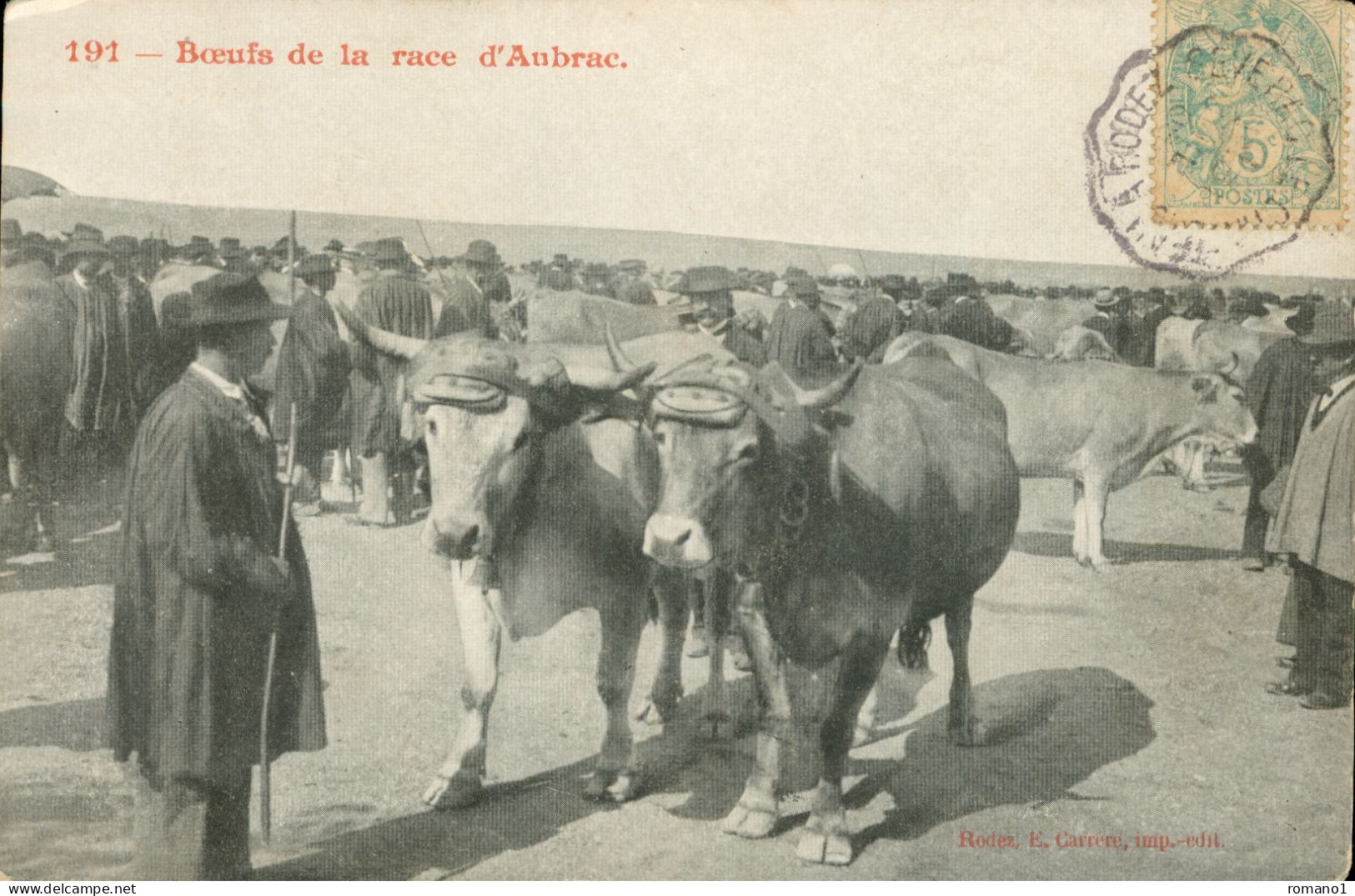 12)   AUBRAC  -  Bœufs De La Race D' Aubrac - Autres & Non Classés