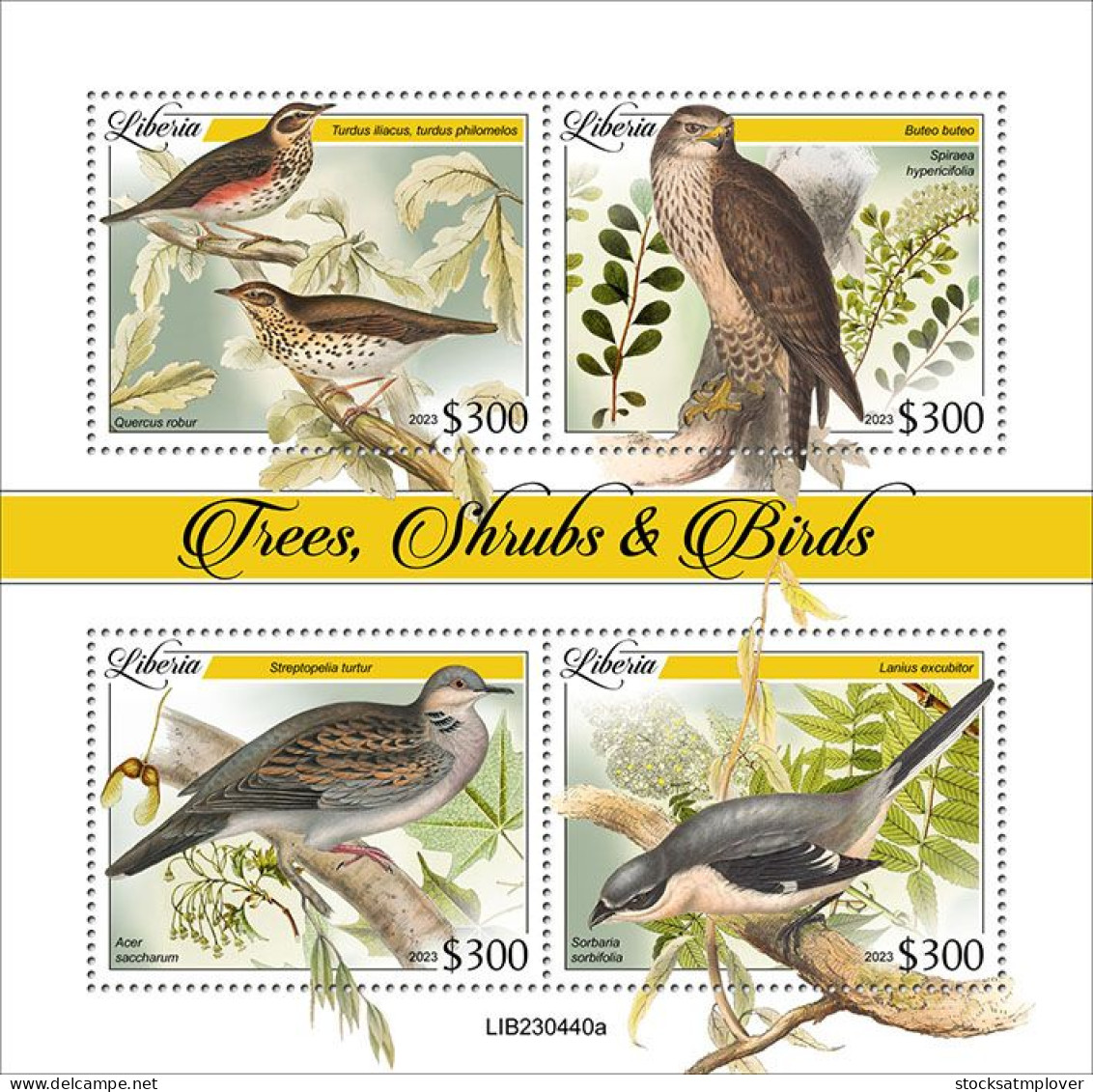 Liberia 2023  Birds S202403 - Liberia