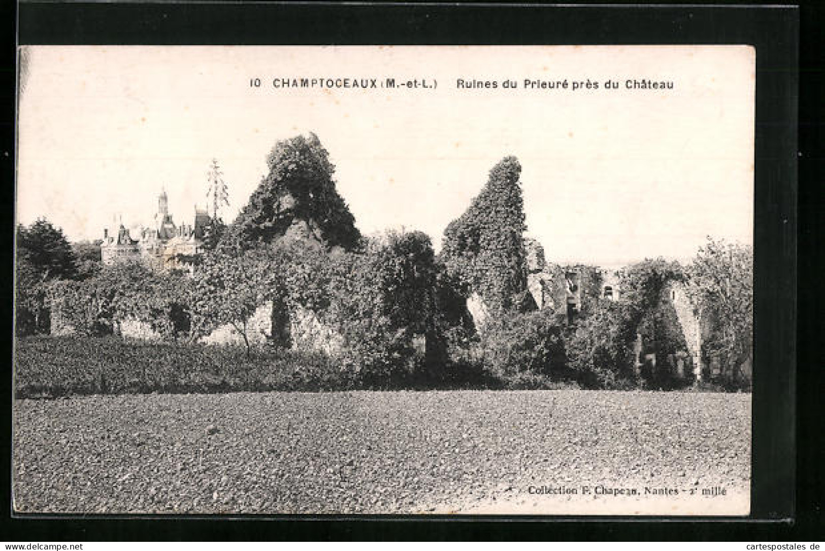 CPA Champtoceaux, Ruines Du Prieuré Près Du Château  - Champtoceaux