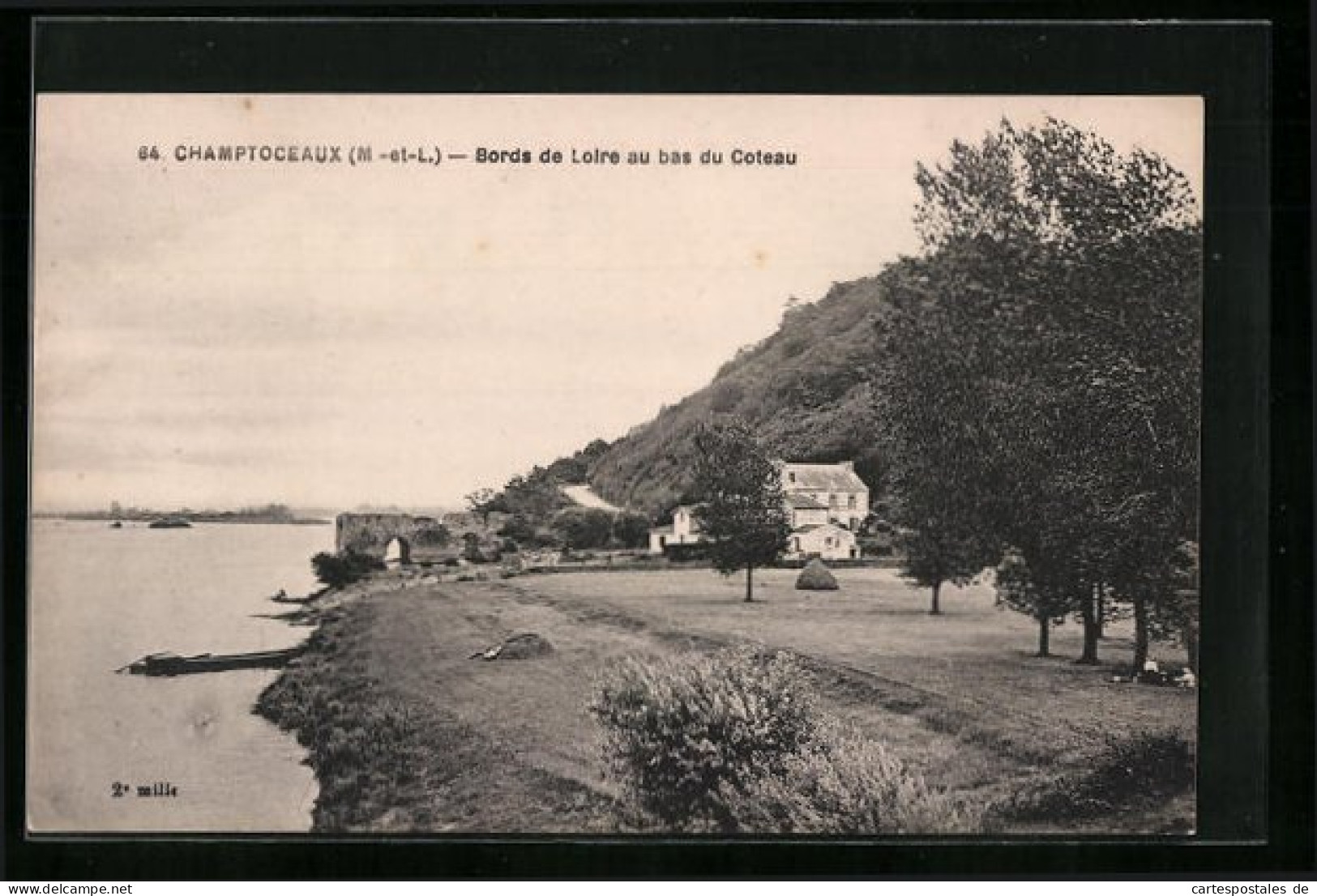 CPA Champtoceaux, Bords De Loire Au Bas Du Coteau  - Champtoceaux