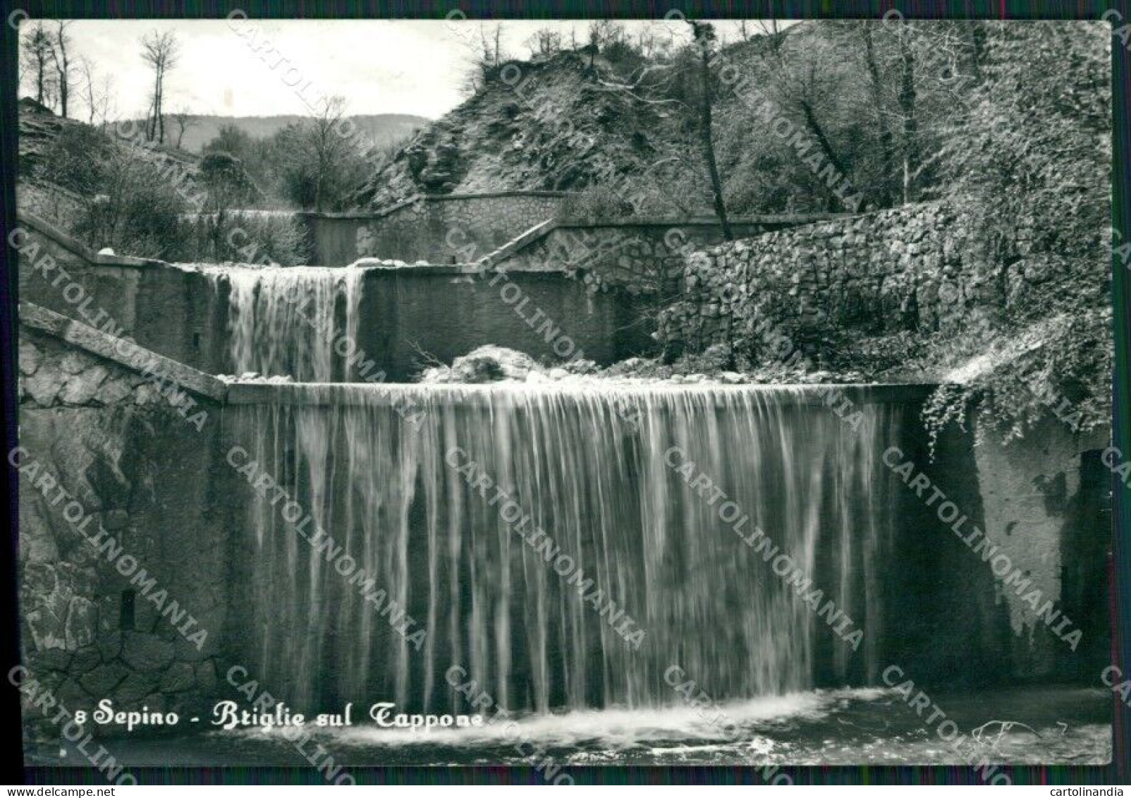 Campobasso Sepino FORI Foto FG Cartolina ZKM7519 - Campobasso