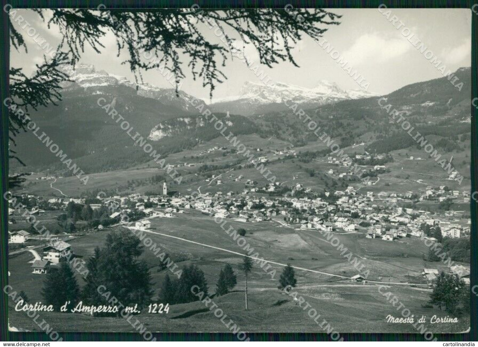 Belluno Cortina D'Ampezzo FG Foto Cartolina KB5595 - Belluno