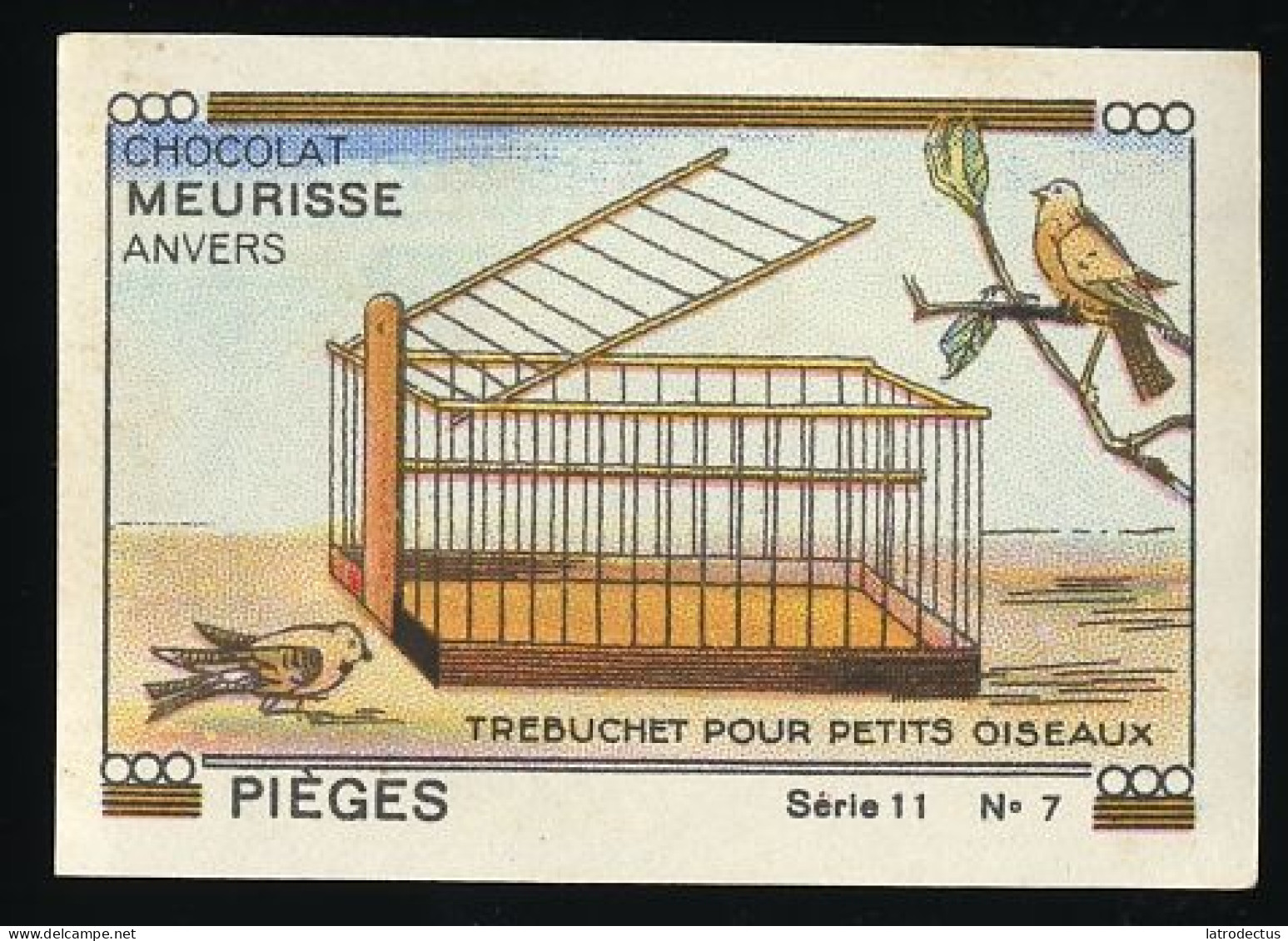 Meurisse - Ca 1930 - 11 - Pièges, Animal Traps - 7 - Trebuchet Pour Petits Oiseaux, Trap For Small Birds - Andere & Zonder Classificatie