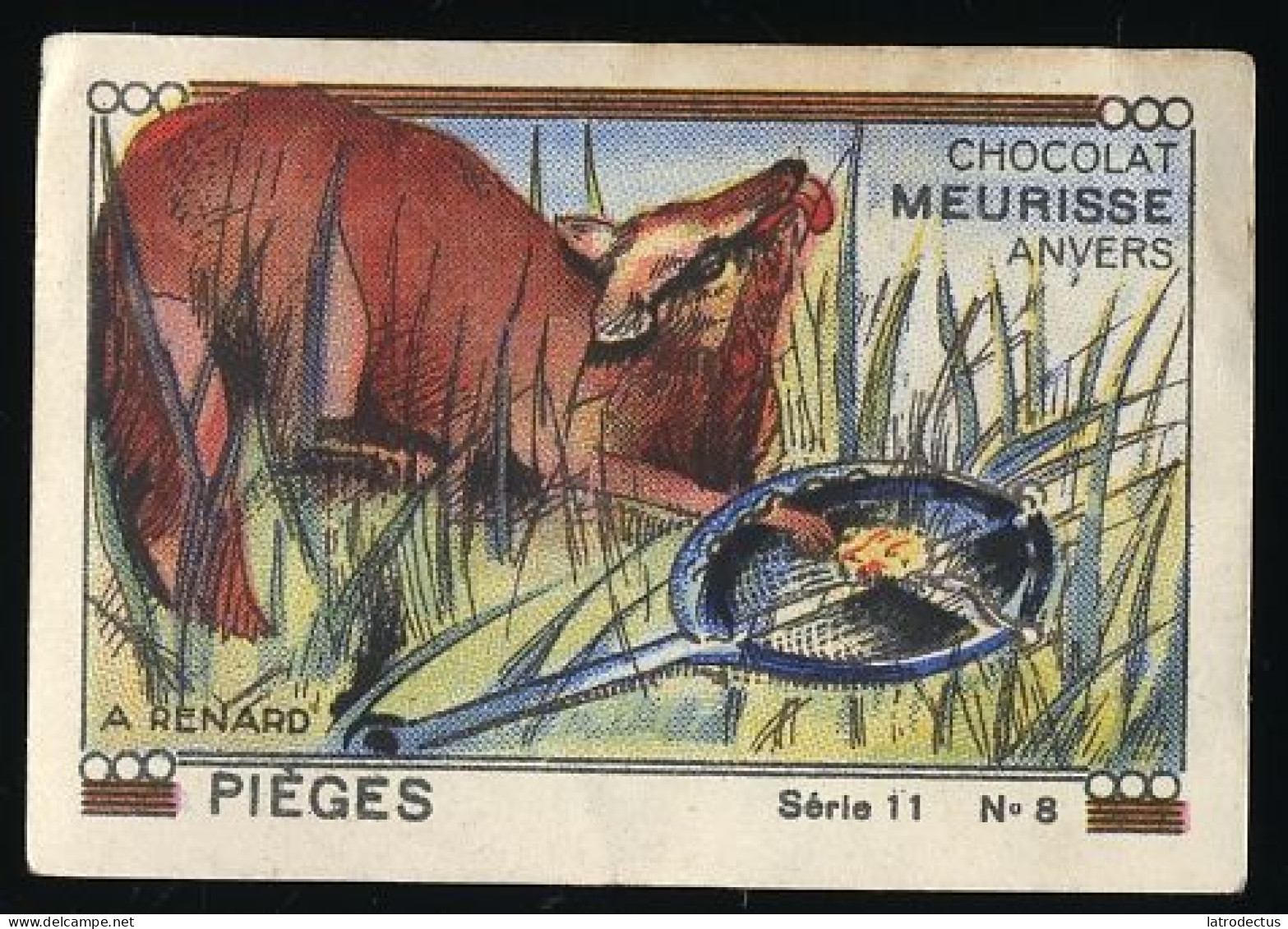 Meurisse - Ca 1930 - 11 - Pièges, Animal Traps - 9 - A Renard, Fox Trap - Otros & Sin Clasificación