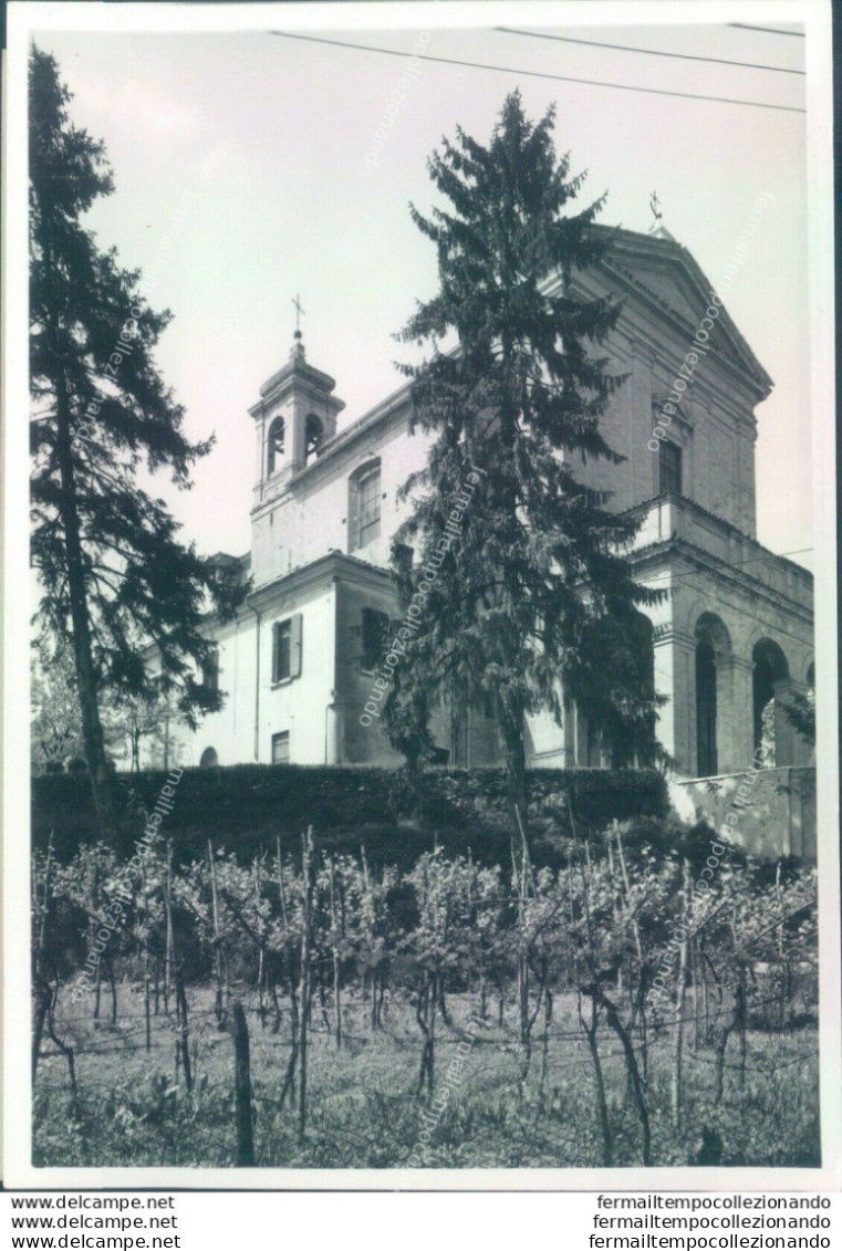 P581 Bozza Fotografica Casalmoro Provincia Di Mantova - Mantova