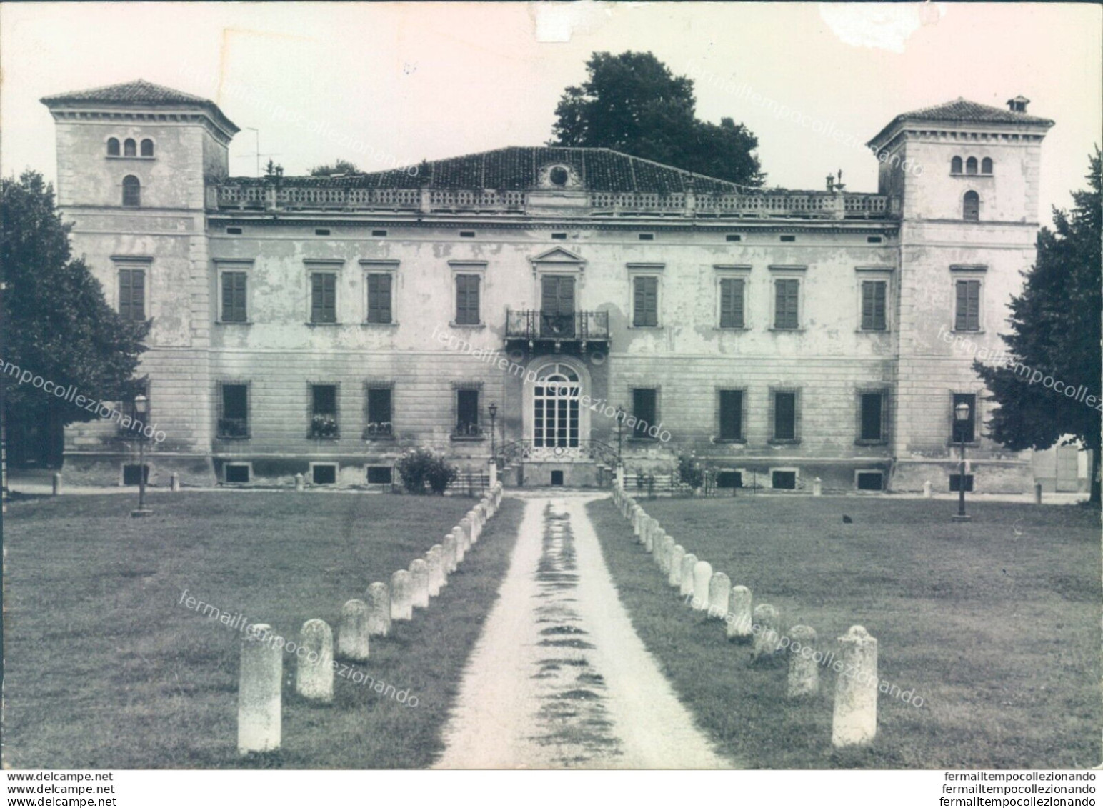 P441 Bozza Fotografica Canicossa Provincia Di Mantova - Mantova