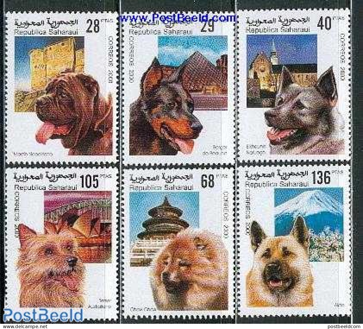 Sahara (=not Official) 2000 DOGS 6V, Mint NH, Nature - Dogs - Art - Bridges And Tunnels - Bridges