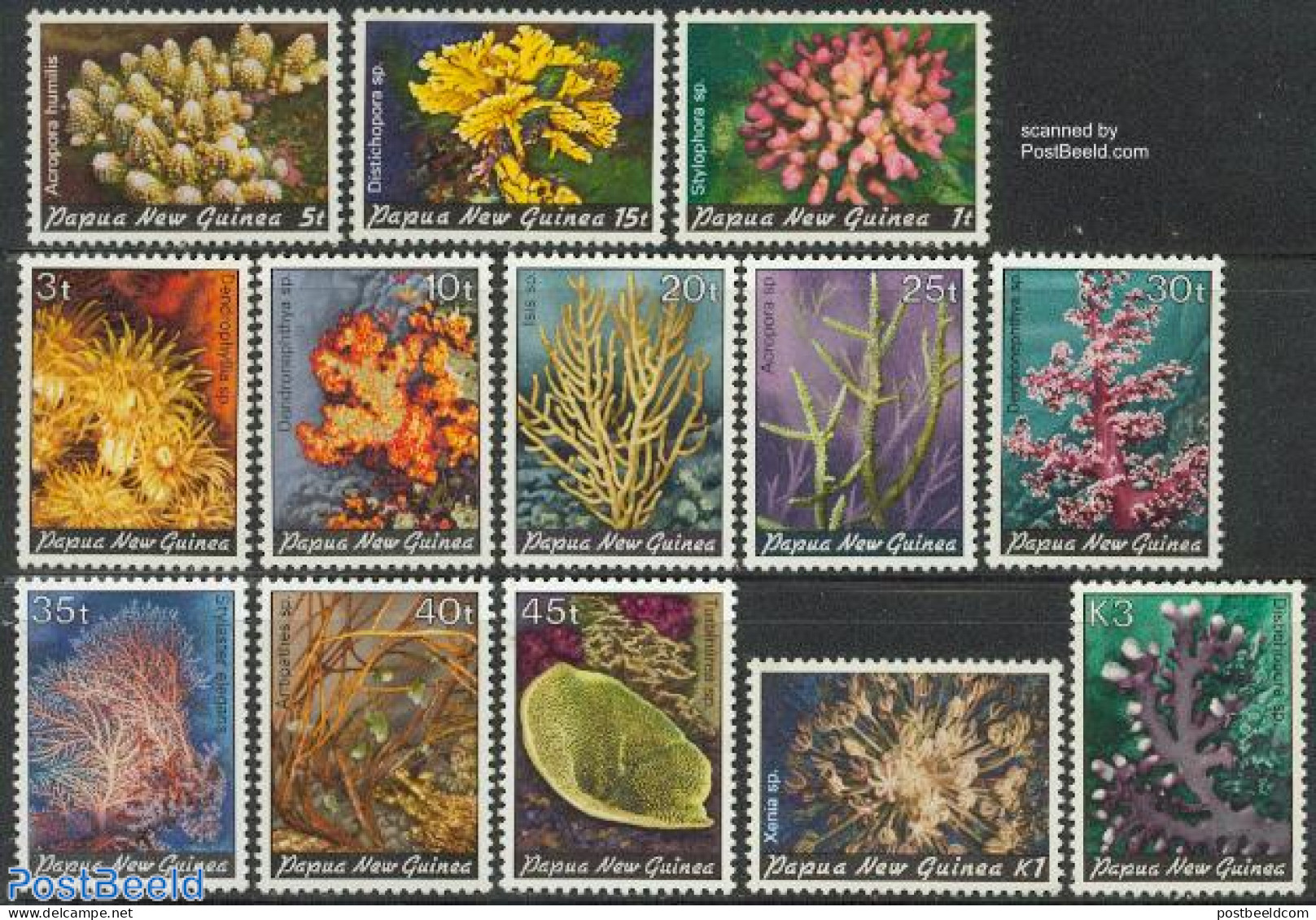 Papua New Guinea 1982 Definitives, Corals 13v, Mint NH, Nature - Papoea-Nieuw-Guinea