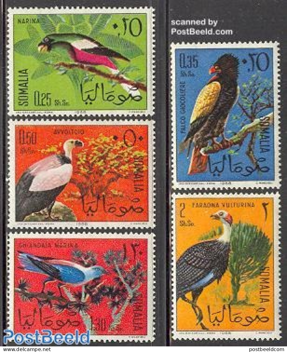 Somalia 1966 Birds 5v, Mint NH, Nature - Birds - Birds Of Prey - Somalia (1960-...)