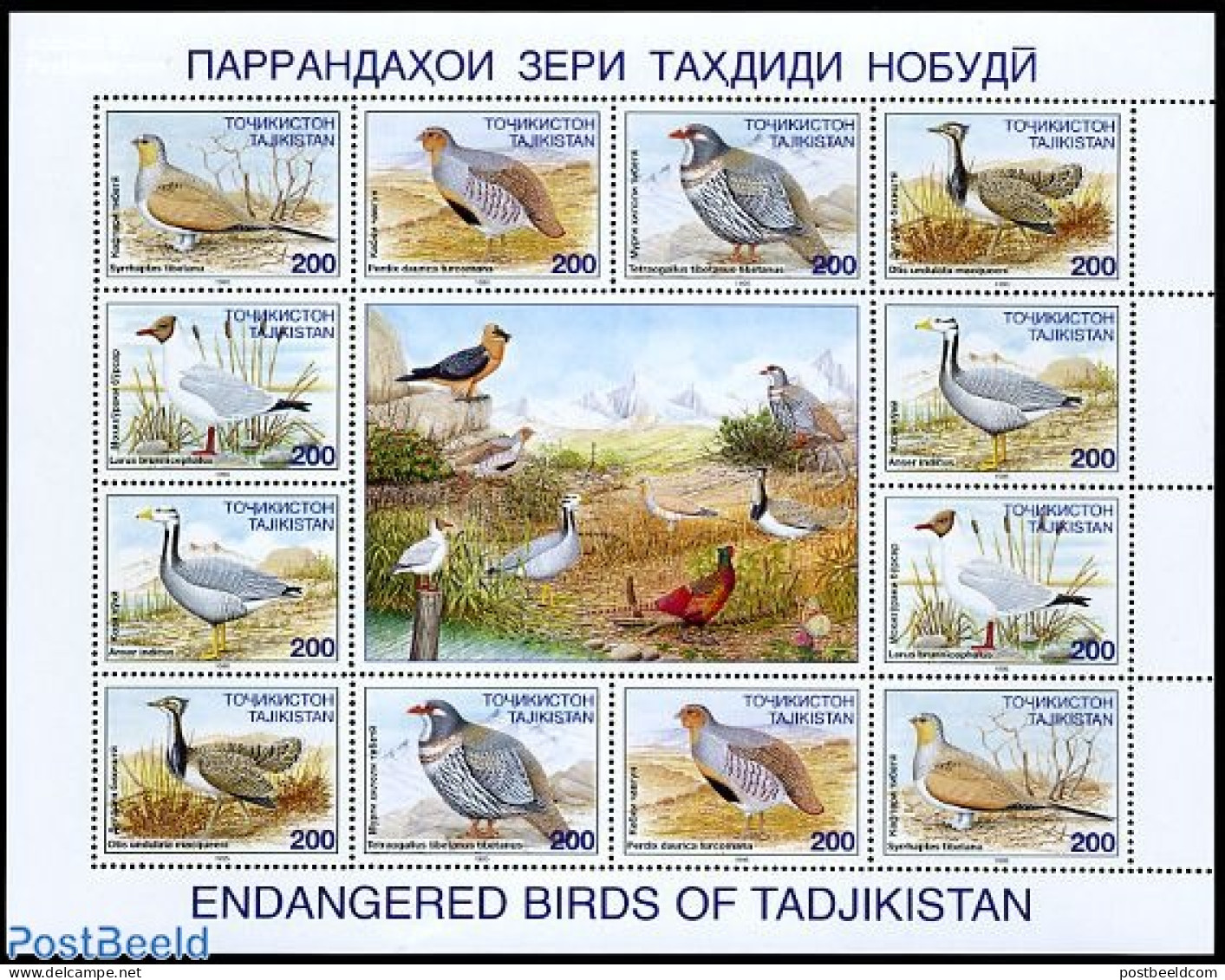 Tajikistan 1996 Birds M/s, Mint NH, Nature - Birds - Tagikistan
