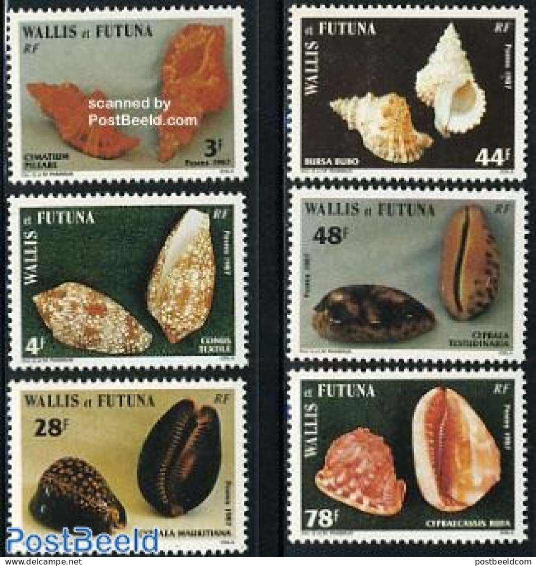 Wallis & Futuna 1987 Shells 6v, Mint NH, Nature - Shells & Crustaceans - Marine Life