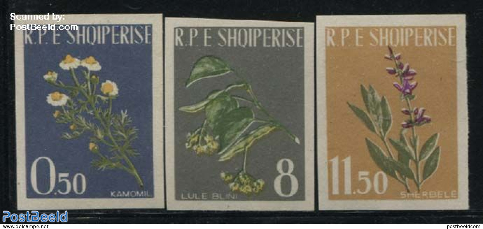 Albania 1962 Flowers 3v Imperforated, Unused (hinged), Health - Nature - Health - Flowers & Plants - Albanien