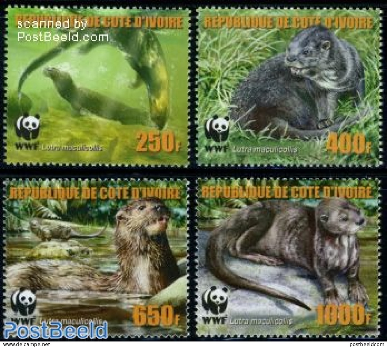 Ivory Coast 2006 WWF, 4v Maculicollis As Text, Mint NH, Nature - Animals (others & Mixed) - World Wildlife Fund (WWF) - Neufs