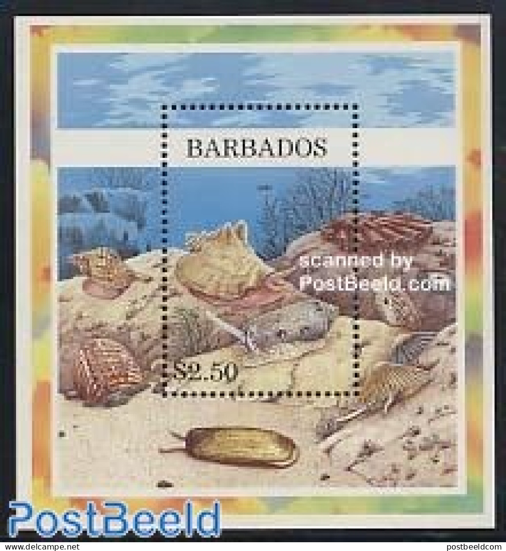 Barbados 1997 Shells S/s, Mint NH, Nature - Shells & Crustaceans - Meereswelt