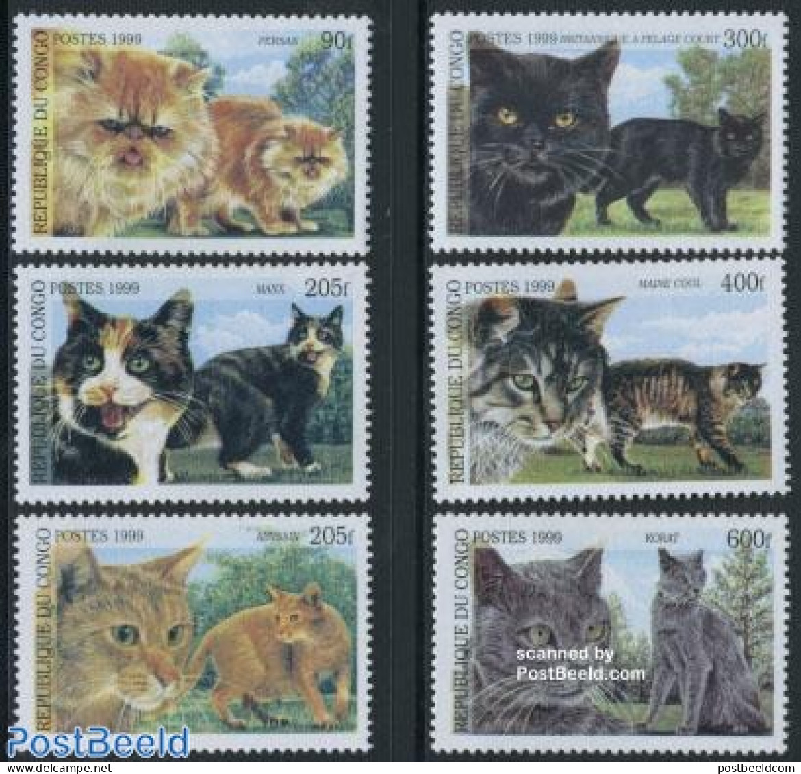 Congo Republic 1999 Cats 6v, Mint NH, Nature - Cats - Other & Unclassified