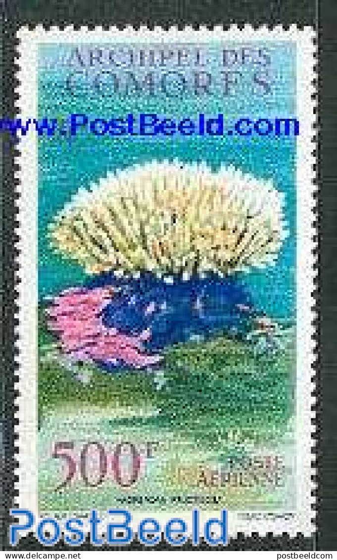 Comoros 1962 Corals 1v, Unused (hinged), Nature - Corals - Isole Comore (1975-...)