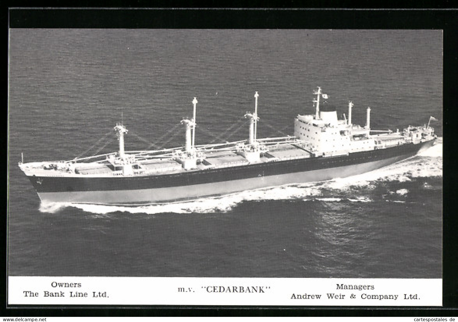 AK Handelsschiff MV Cedarbank  - Koopvaardij