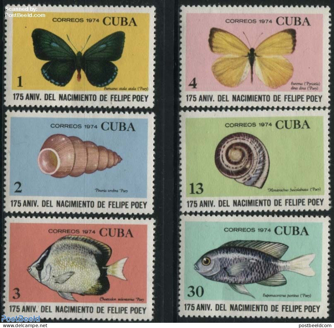 Cuba 1974 Felipe Poey 6v, Mint NH, Nature - Butterflies - Fish - Shells & Crustaceans - Unused Stamps