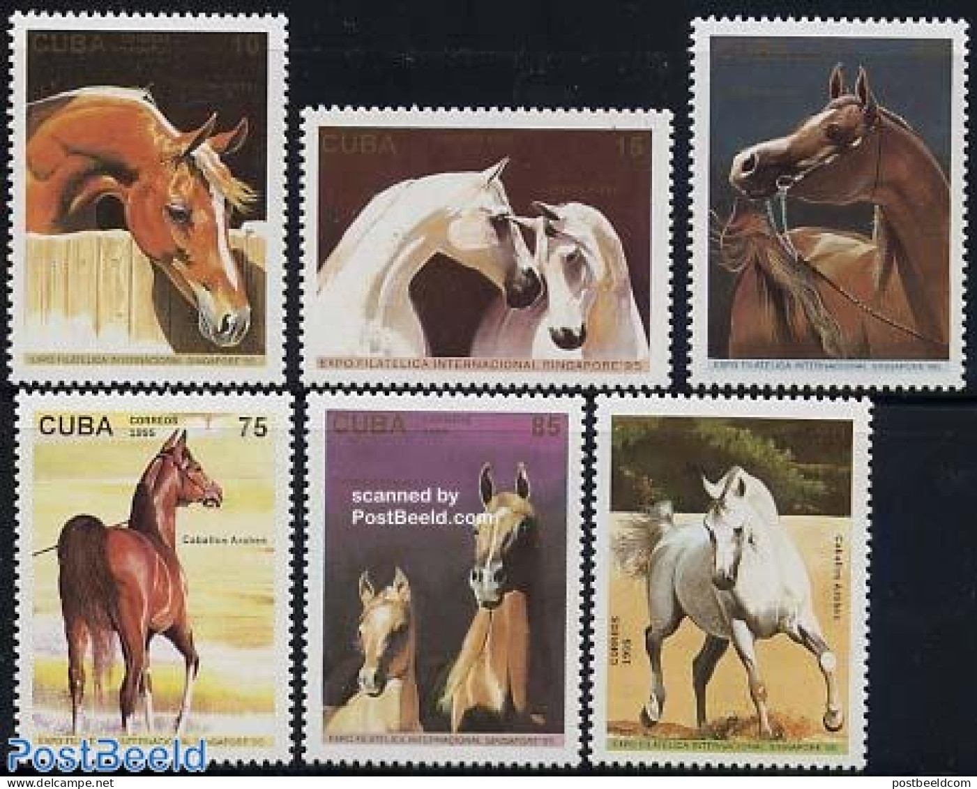 Cuba 1995 Horses 6v, Mint NH, Nature - Horses - Ongebruikt