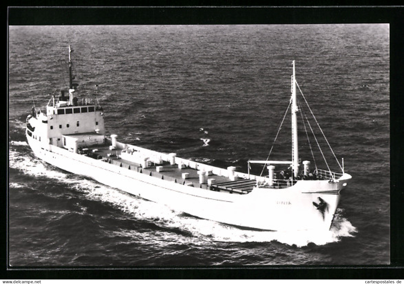 AK Handelsschiff MC Vinia Auf See  - Commerce