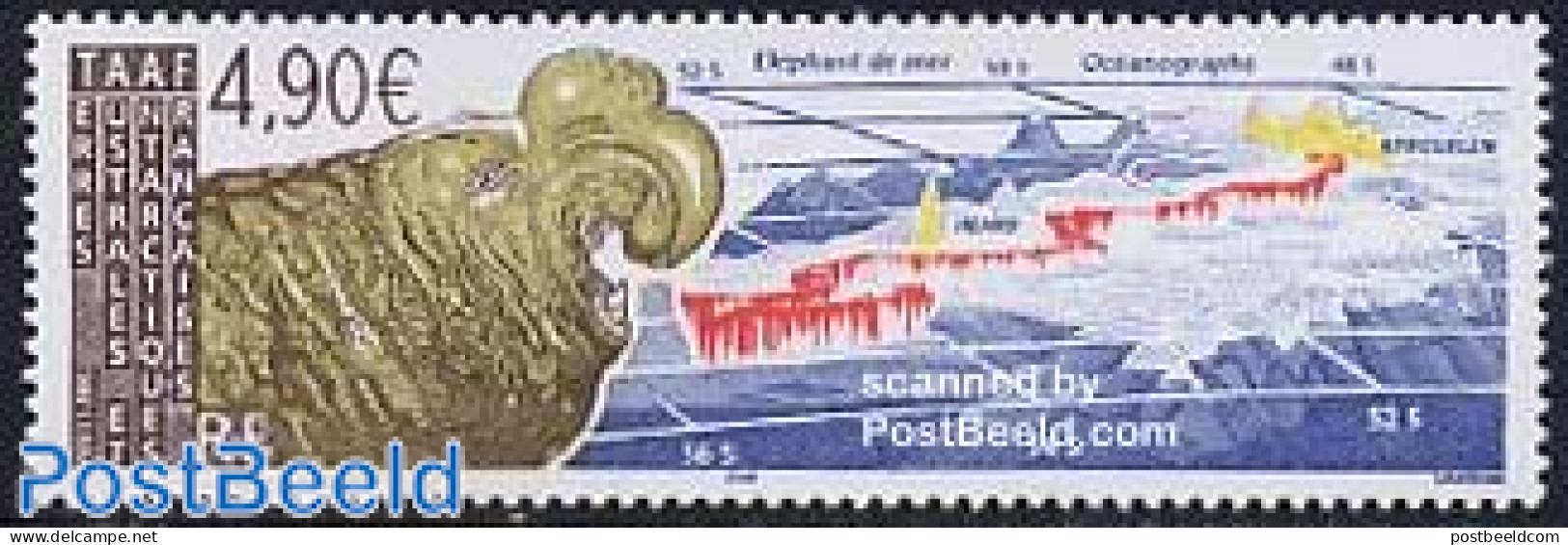 French Antarctic Territory 2005 Sea Elephant 1v, Mint NH, Nature - Sea Mammals - Unused Stamps